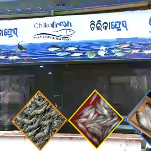 4- Chilika fresh
