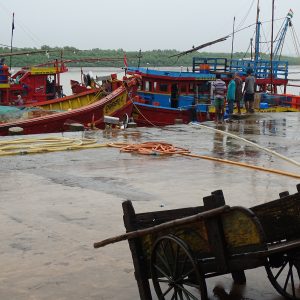 DSC03514